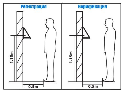 позиция для регистрации лица